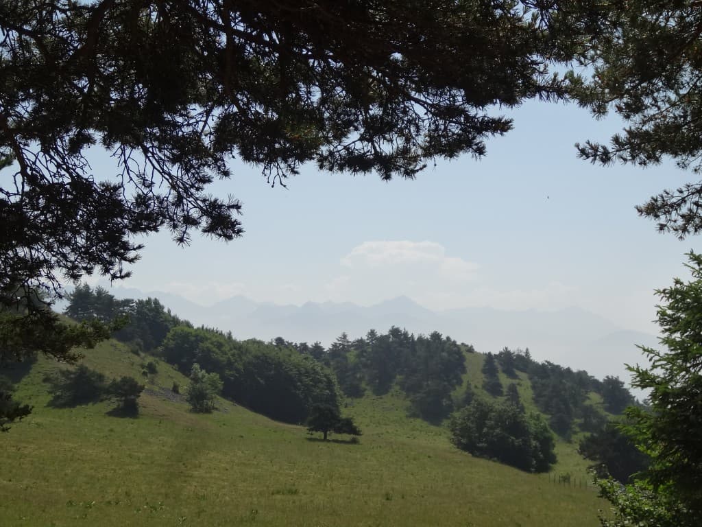 Les Treizes bises