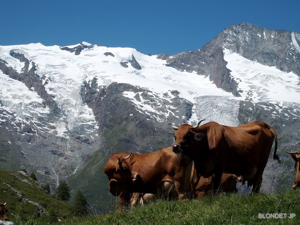 Mont Pourri