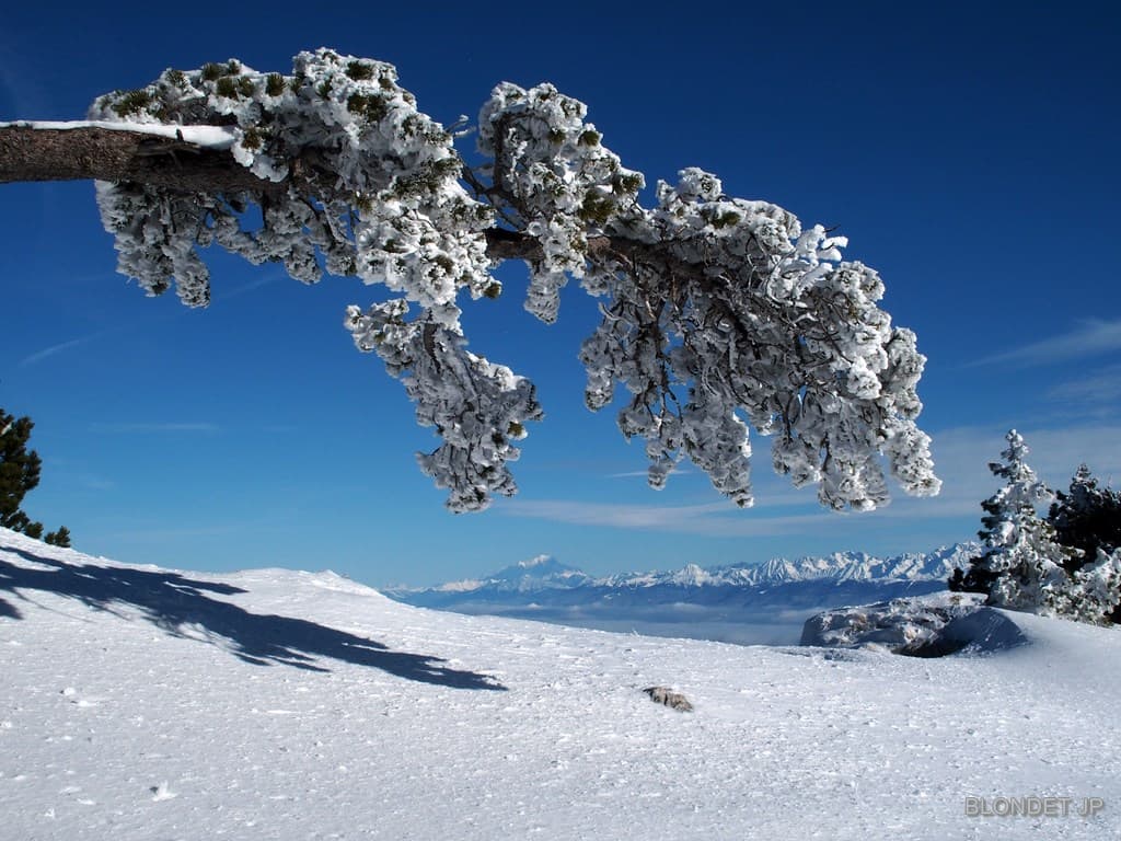 Mt Blanc vu du Moucherotte