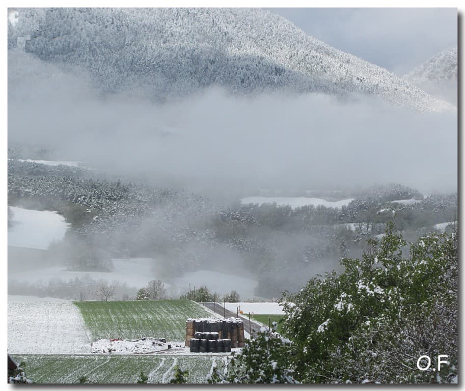 Neige de mai 