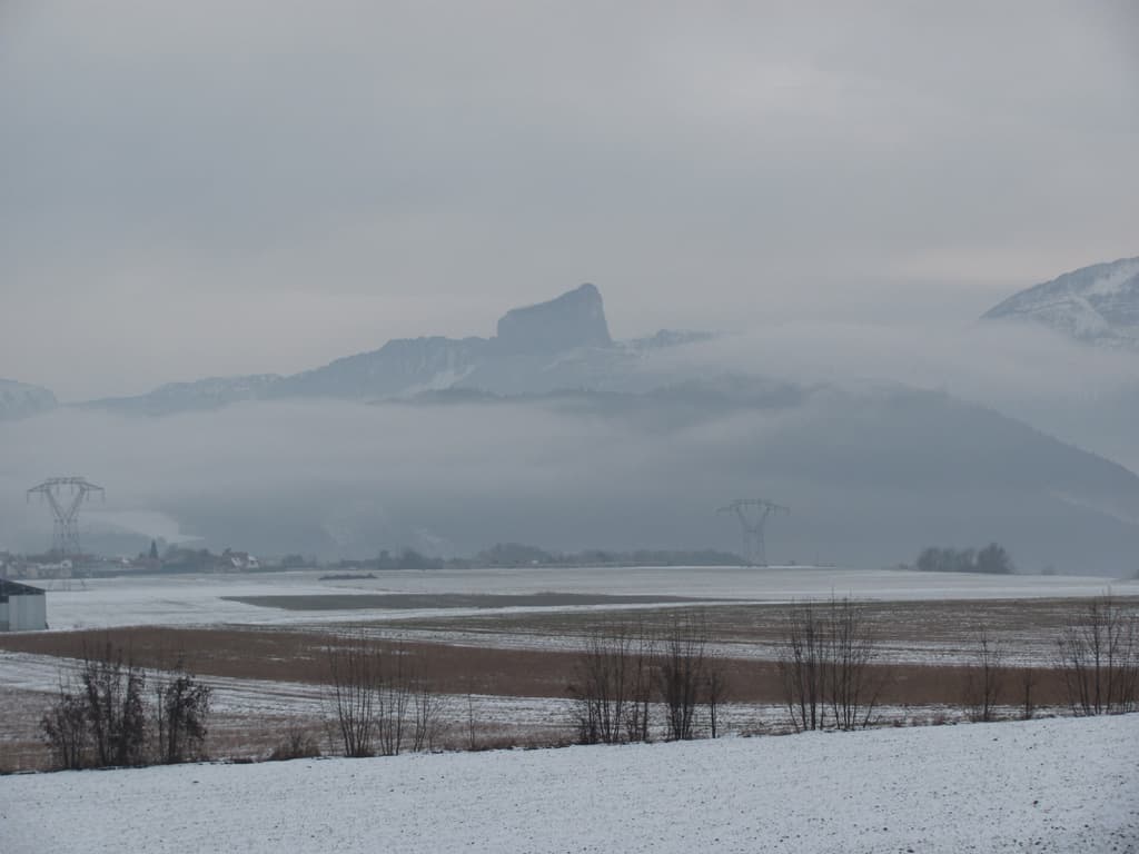 Neige timide ce 10 janvier