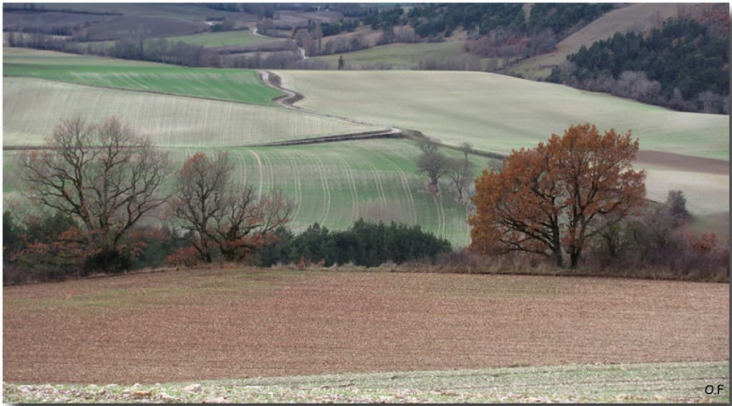 Palette de pastels