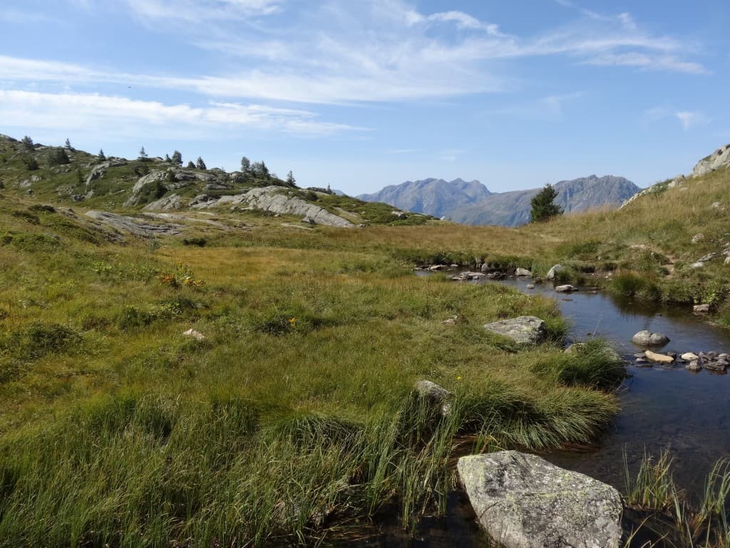 plateau de l'Alpette