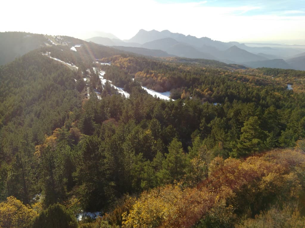 Plateau du Solaure