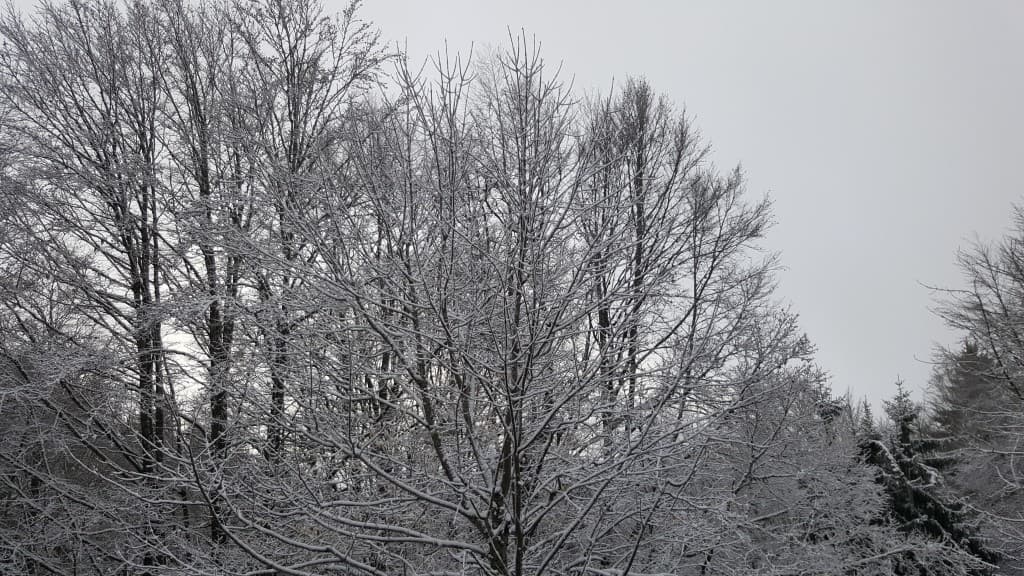 Premiers flocons vers le Grand Serre