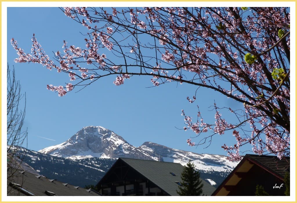 printemps en Vercors
