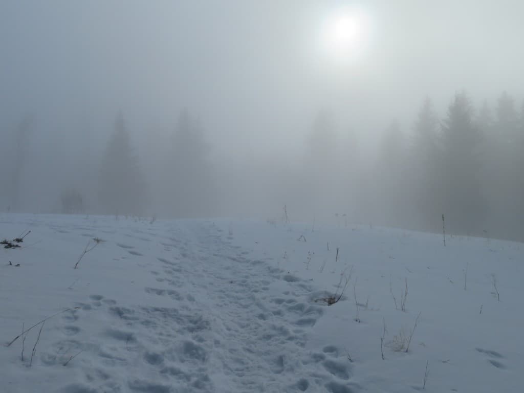 Sous 1500m d'Altitude