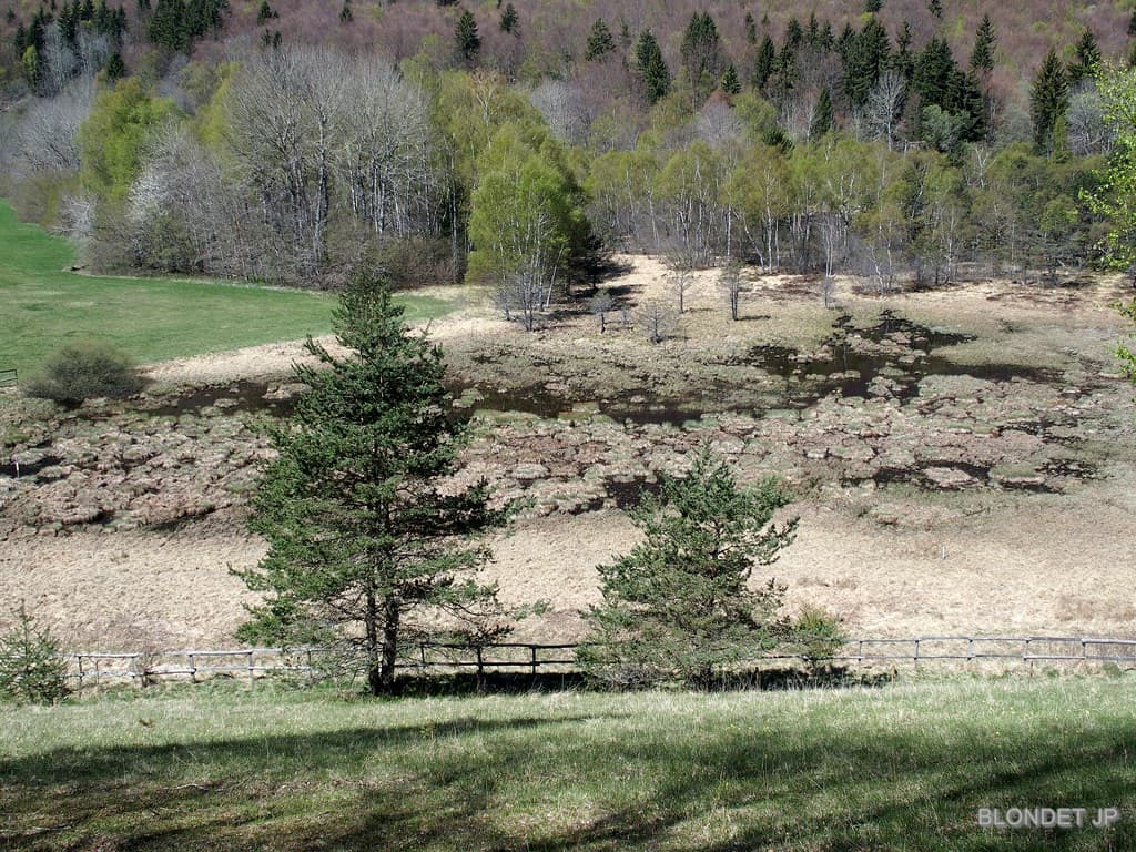 Tourbière du Peuil