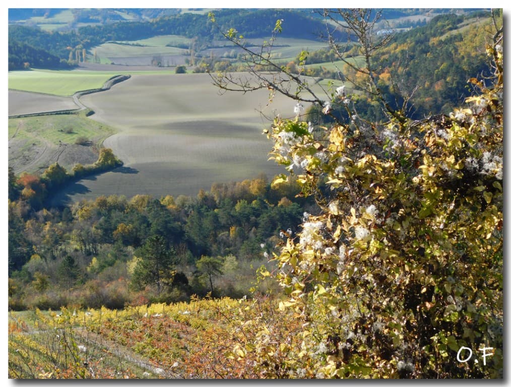 automne trièvois