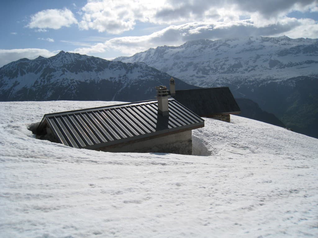 Bergerie du Rif Premier