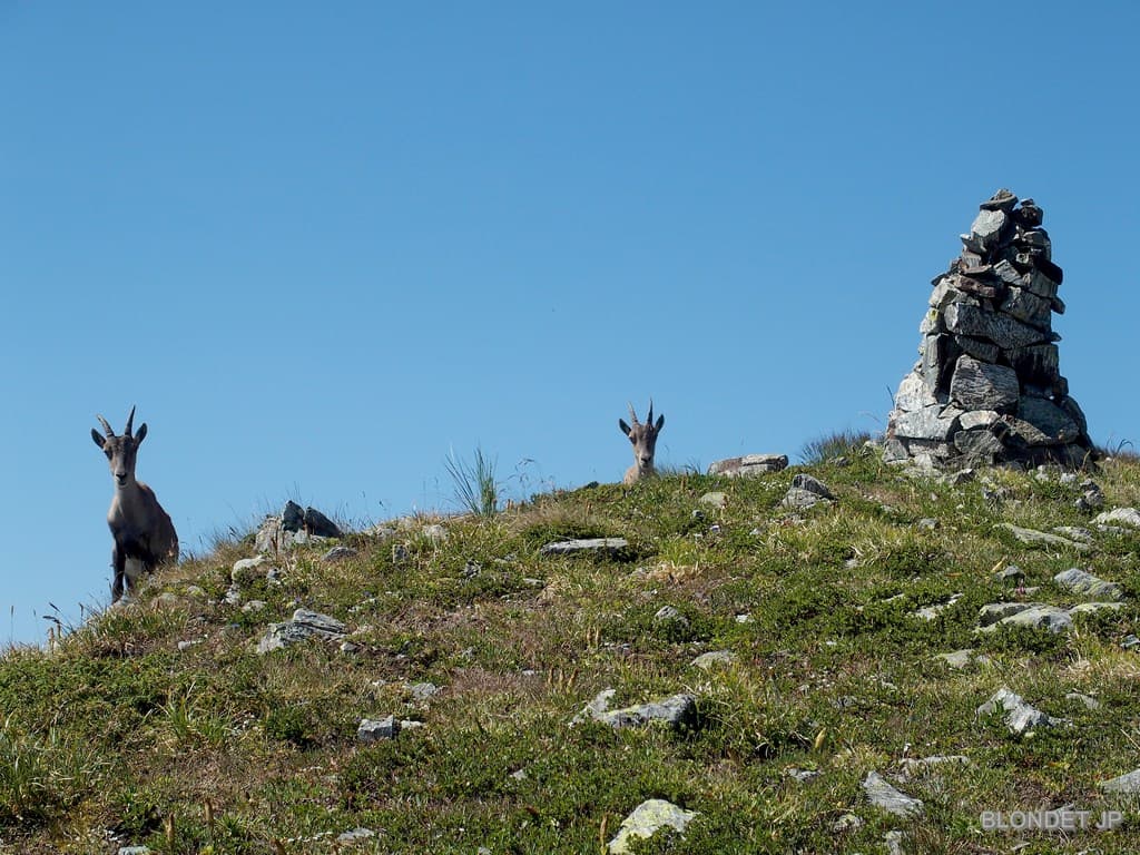 Comité d'accueil au Petit Van