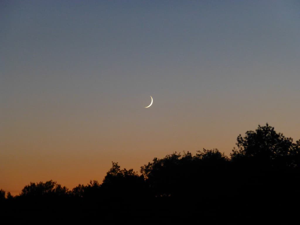 Croissant Lunaire