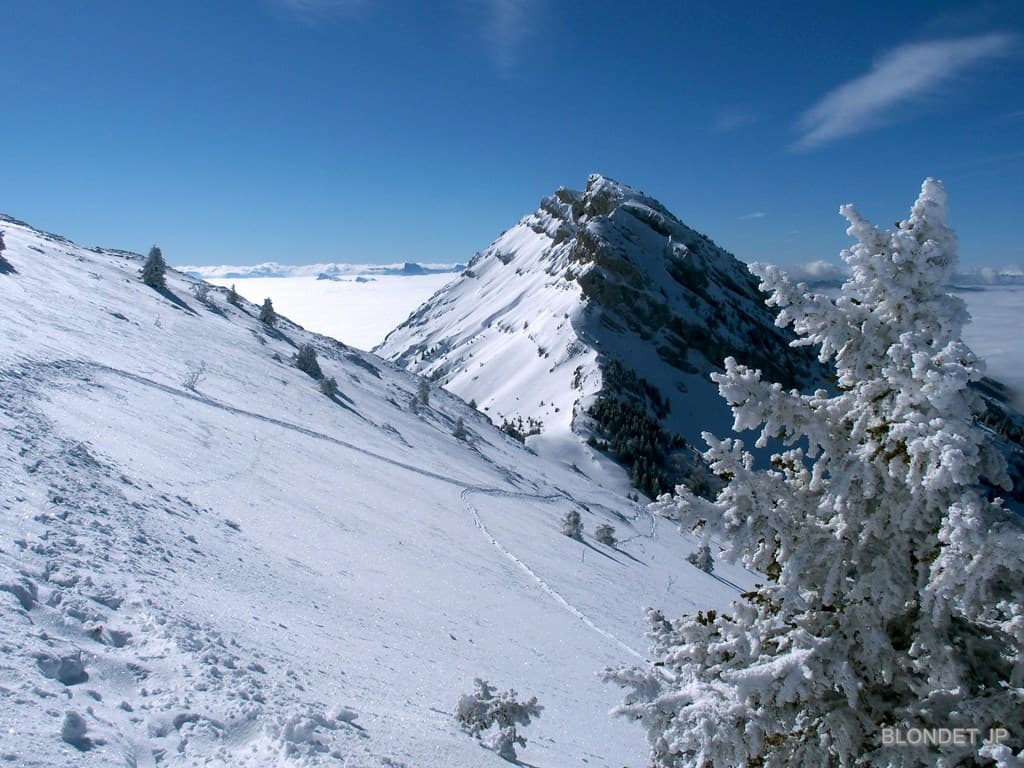 Descente sur le Col de l'Arc