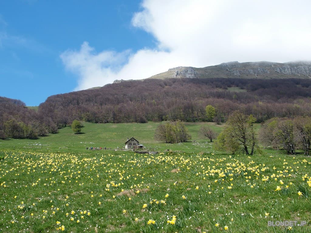 Ferme d'Ambel