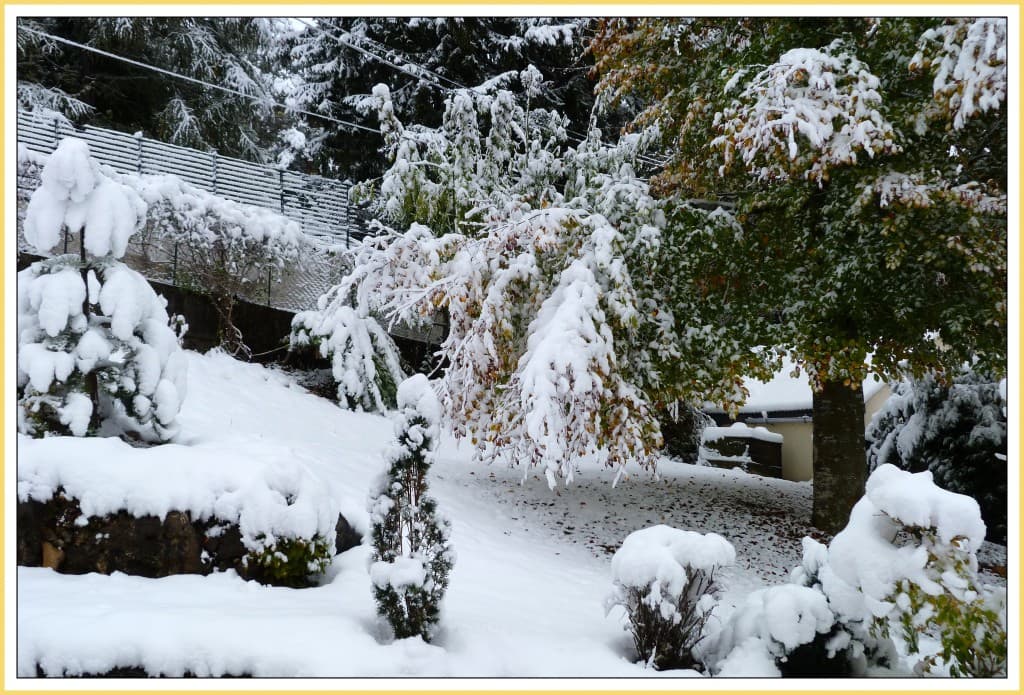 la neige fait ployer les branches