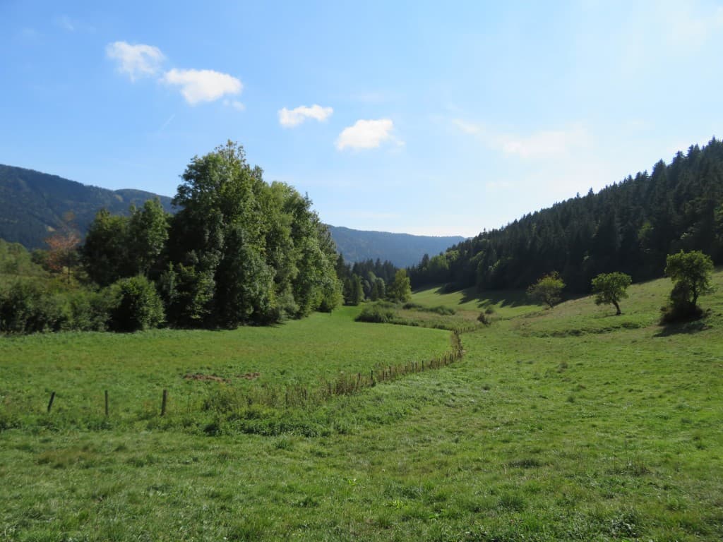 Marais des Sagnes