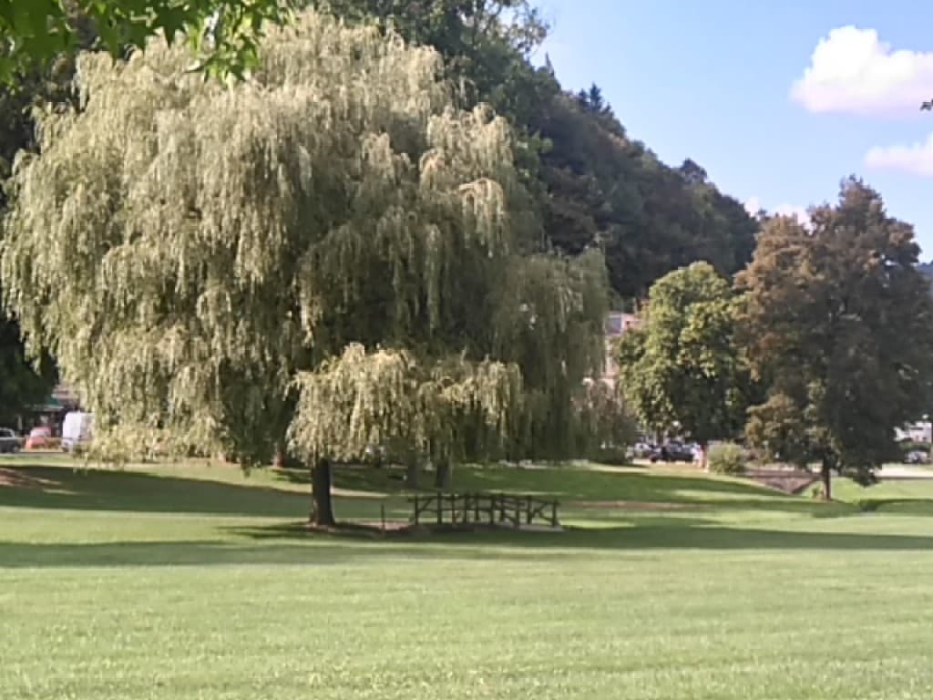 Parc d'Uriage
