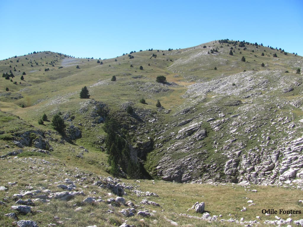 Plaine du Tisserand 