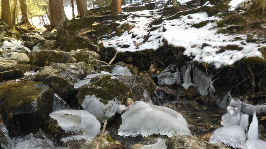 RUISSEAU FAUGE