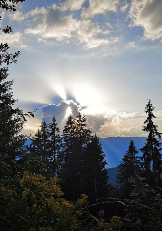 vue sur Chartreuse