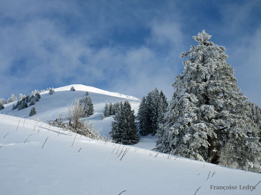Ambiance froide en montagne