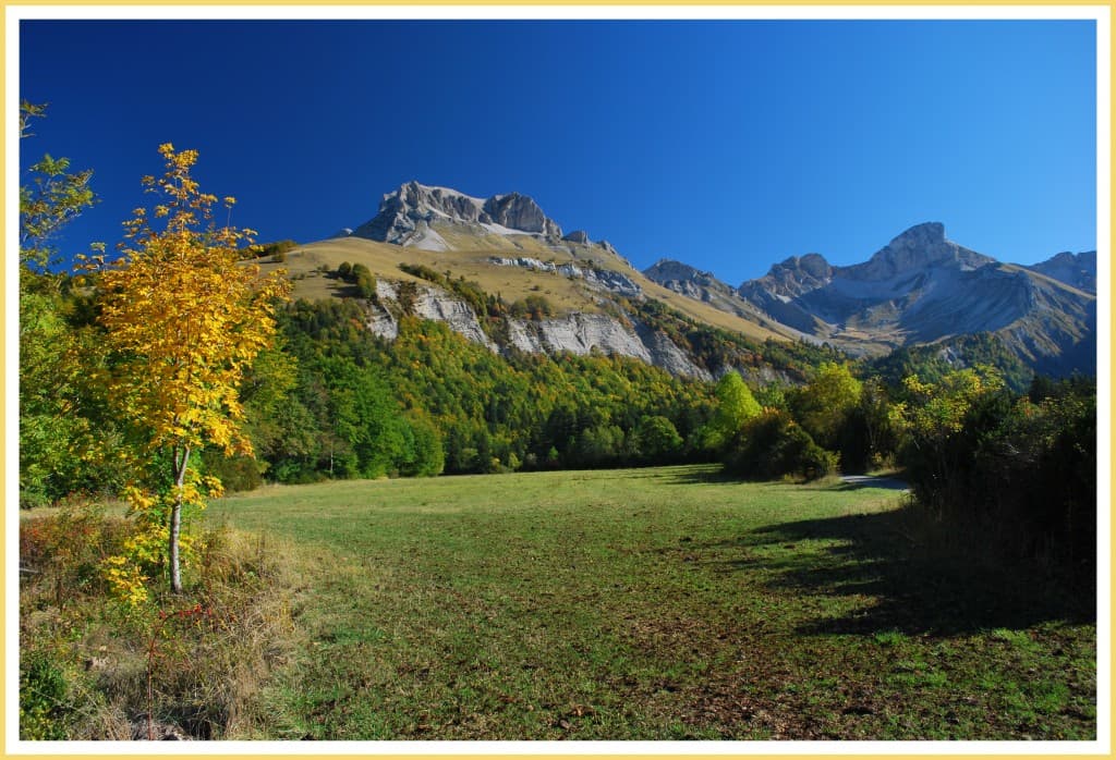 automne dans le vallon de la Jarjatte