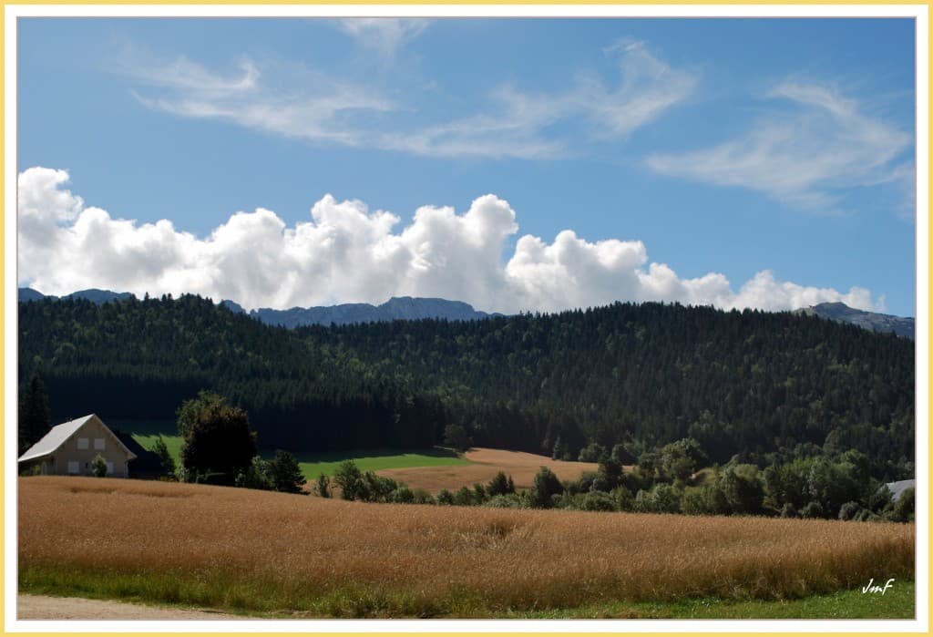 avant la moisson