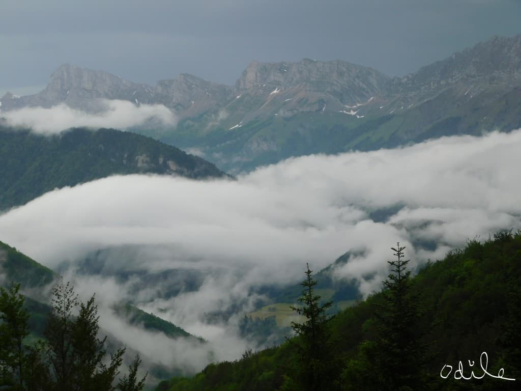 Avant la pluie et le tonnerre