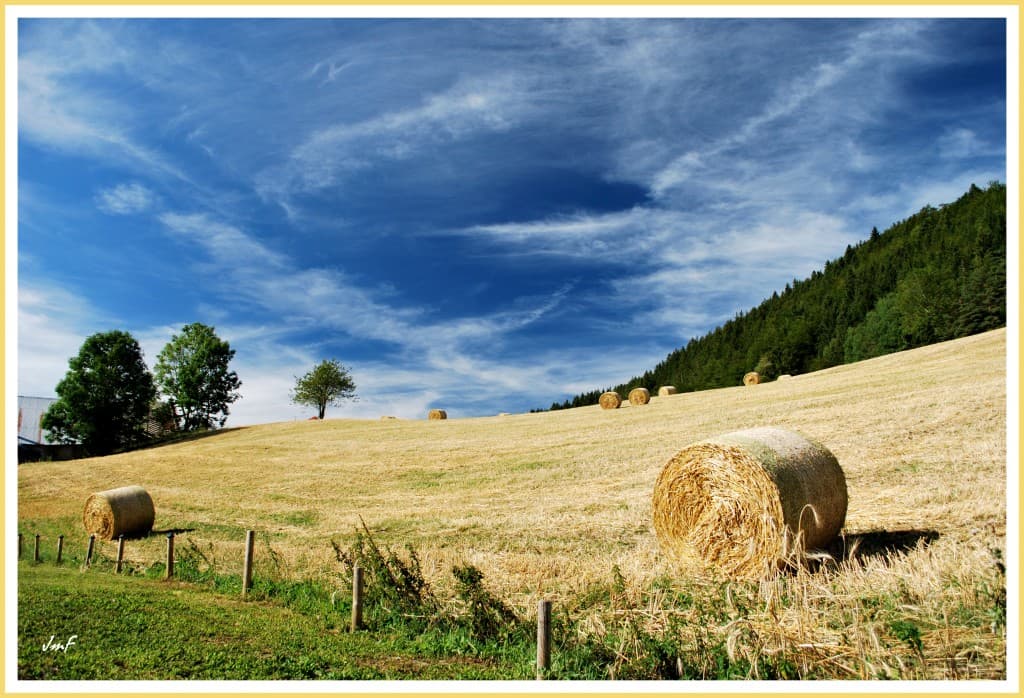 beau et chaud