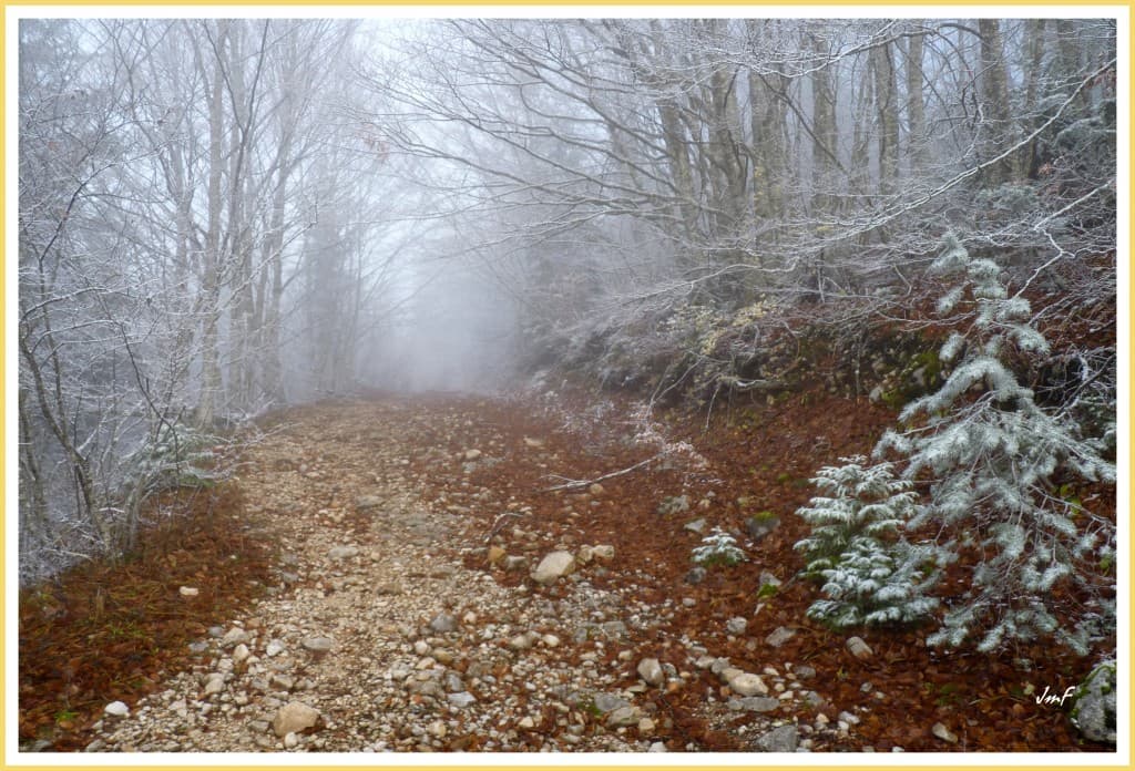 brouillard givrant