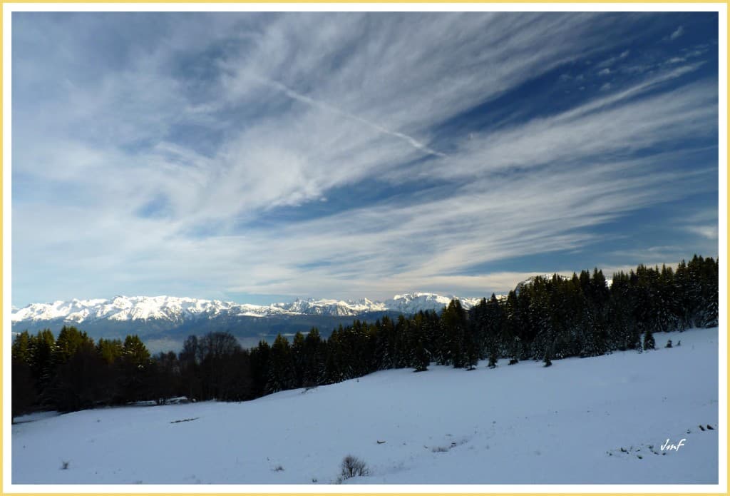 cirrus denses