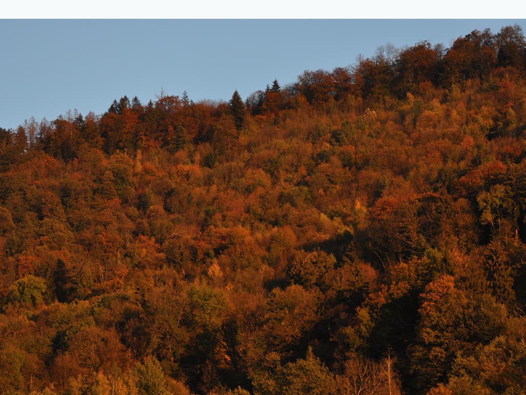 Couleurs d'automne !!! MG