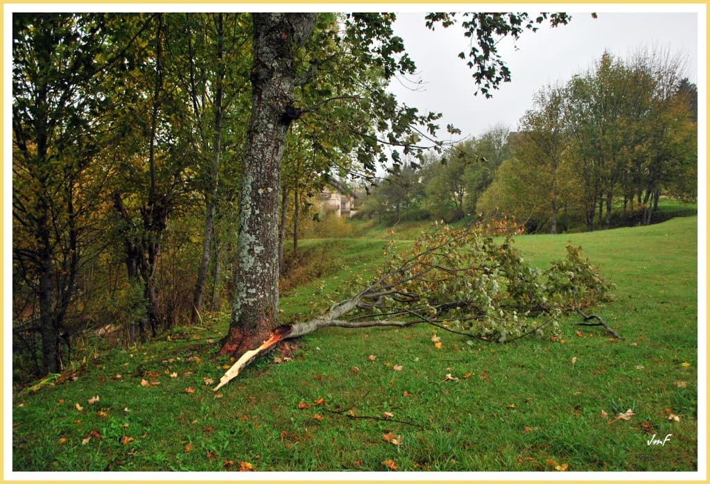 effet de la tempête de foehn
