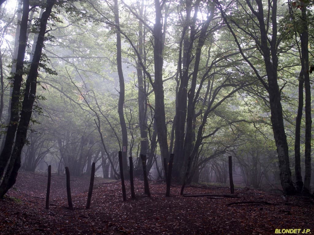 En montant à Beauregard