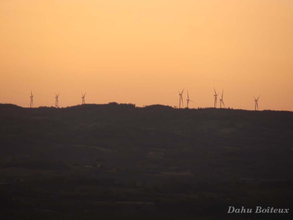 Éoliennes dans le soleil couchant