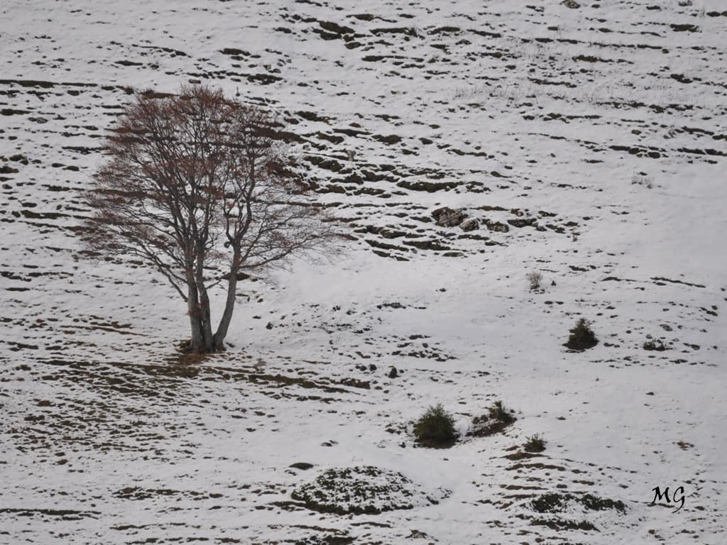 Froidure en altitude !!!