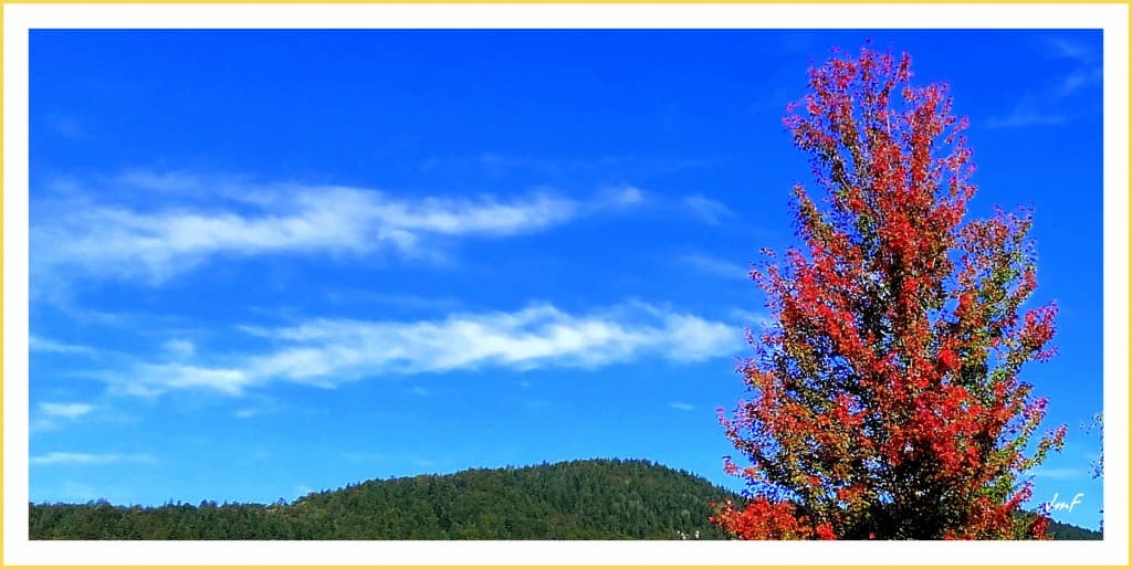 l'automne 