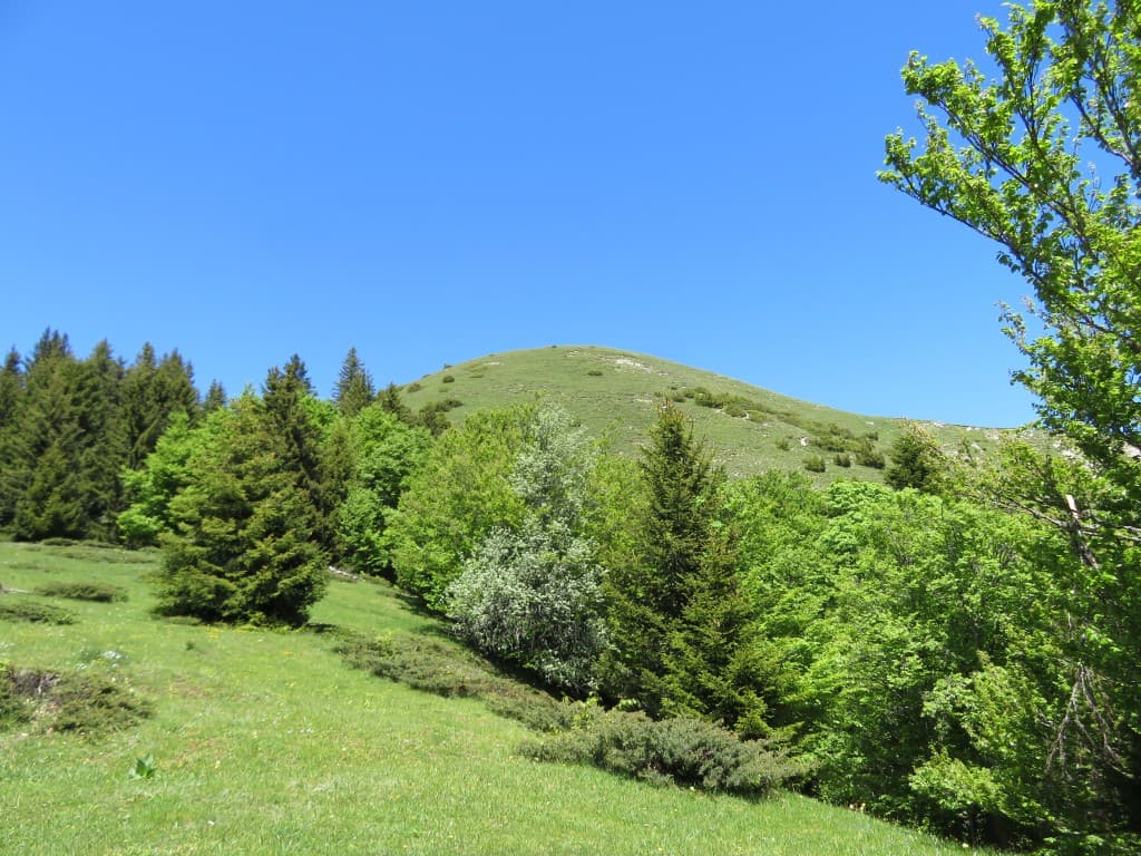Le Sornin