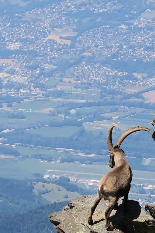 le veilleur du gresivaudan