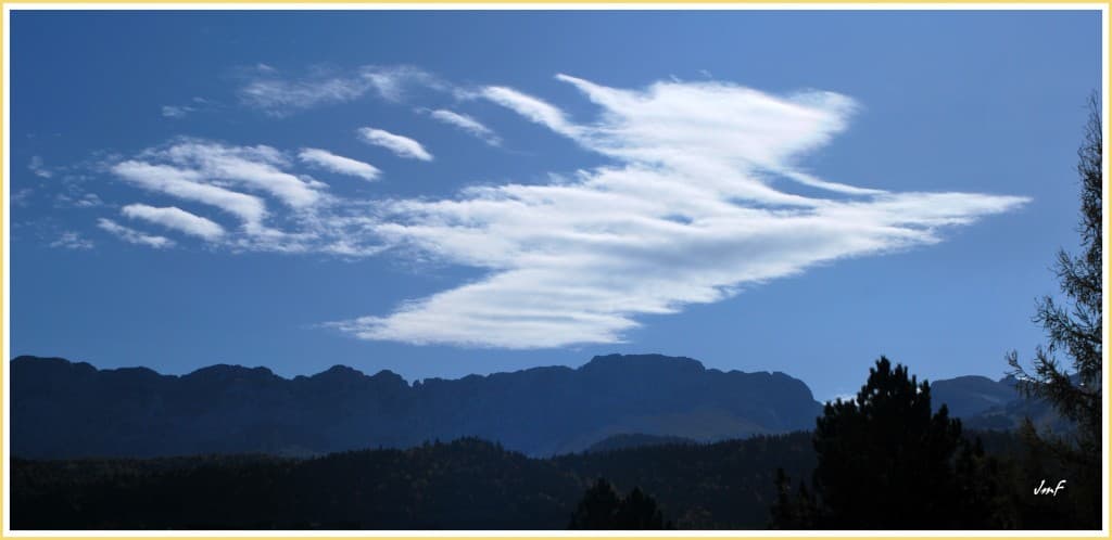 lenticulaire oiseau