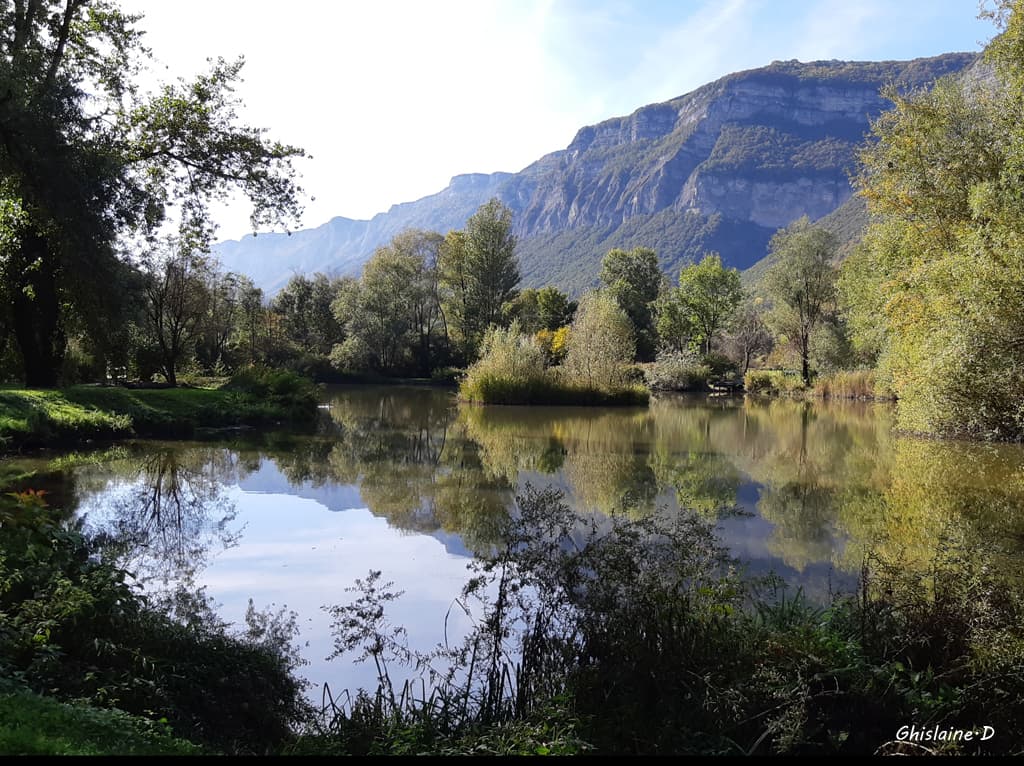 Marais de Montfort 