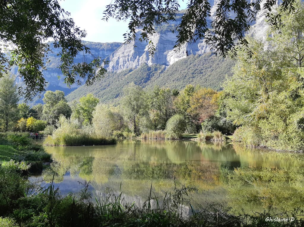 Marais de Montfort