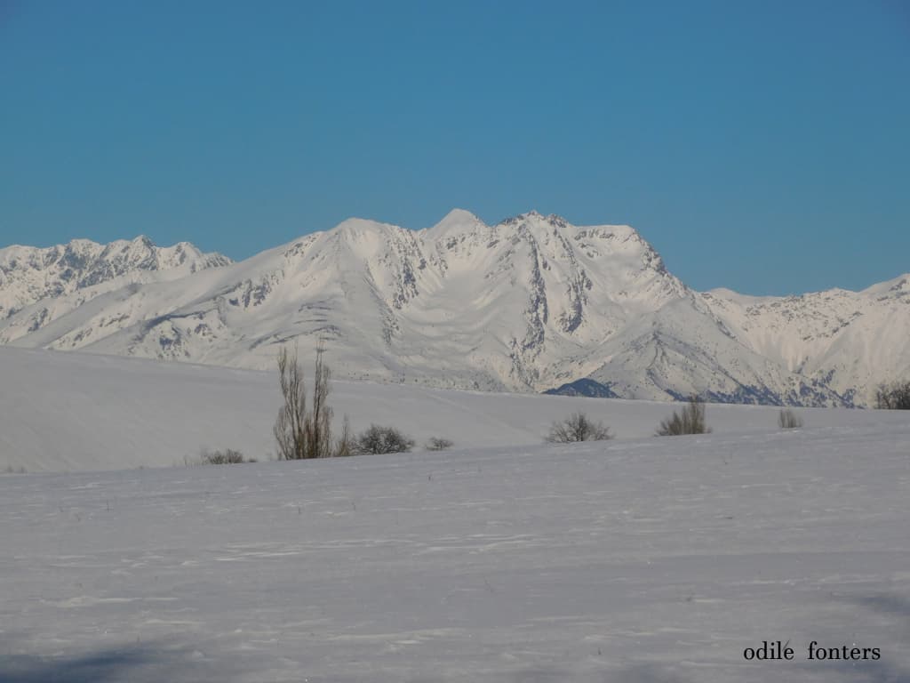 Massif du Coiro vu du trièves