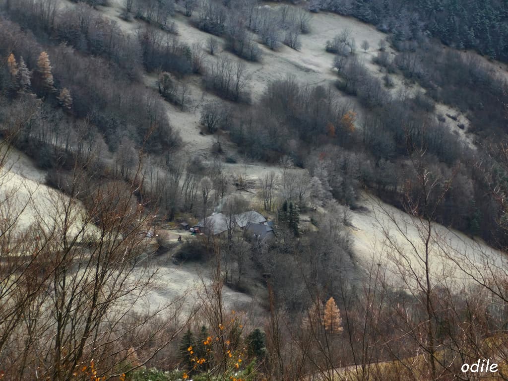 Matin de décembre
