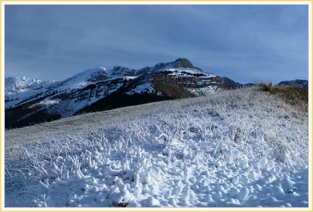 matinée glaciale