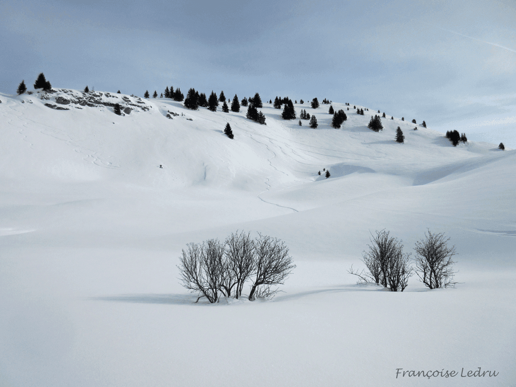 Neige immaculée