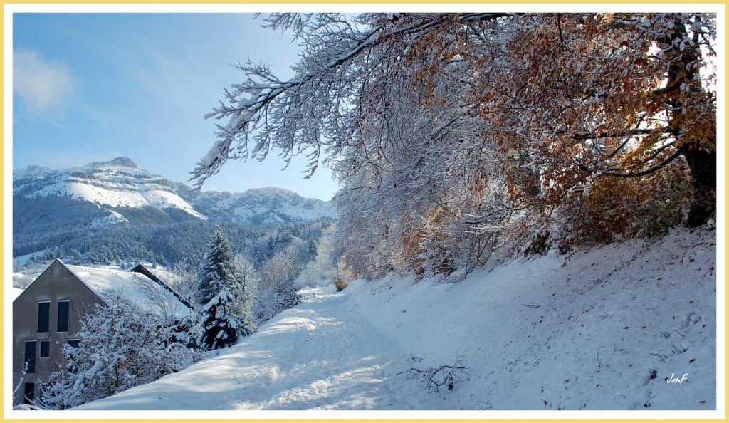neige sur automne