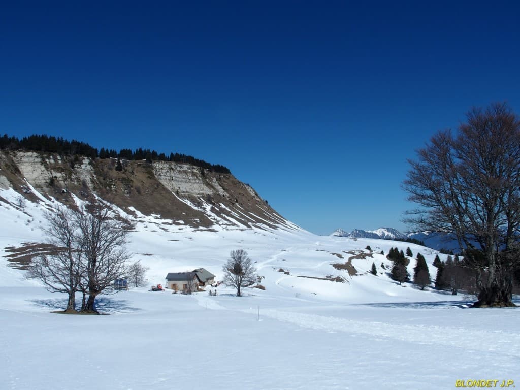 Plateau de la Molière
