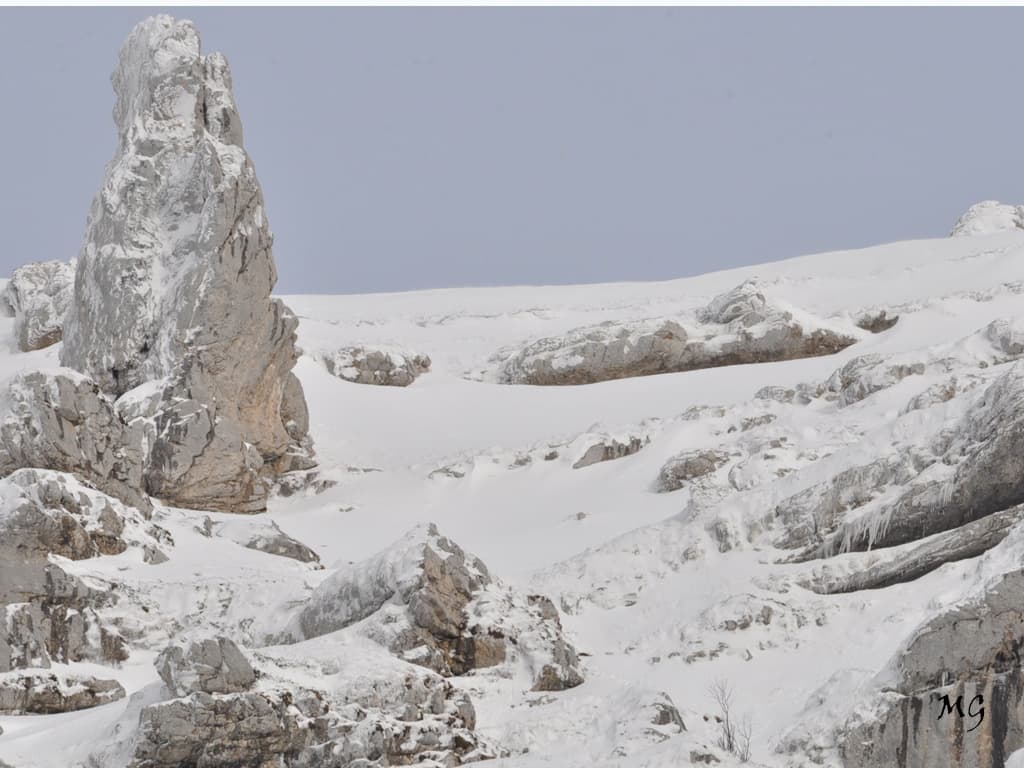 Quand la montagne se pare de blanc !!!