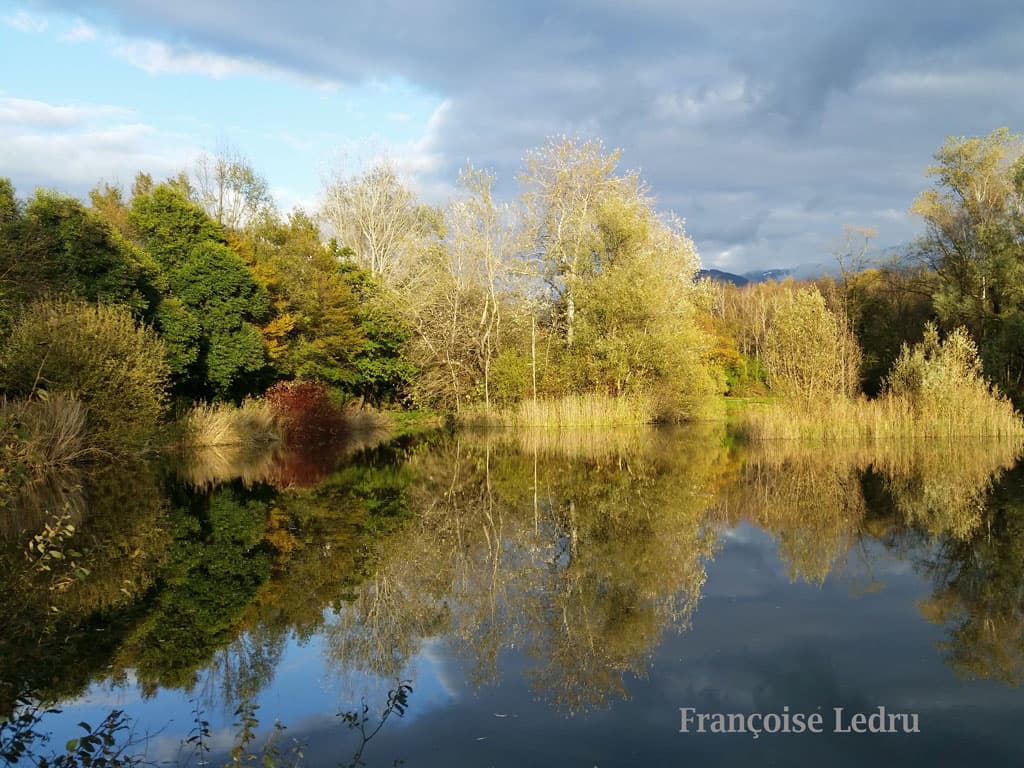 Rayon de soleil sur l'étang de Montfort